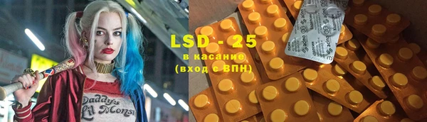 ГАЛЛЮЦИНОГЕННЫЕ ГРИБЫ Белокуриха