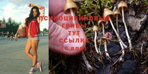 герыч Богородицк