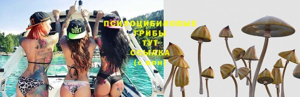 гидропоника Богданович